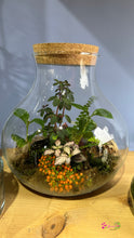 Load image into Gallery viewer, Large Bulb like Cylinder Terrarium
