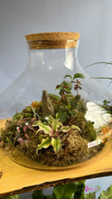 Load image into Gallery viewer, Large Bulb like Cylinder Terrarium
